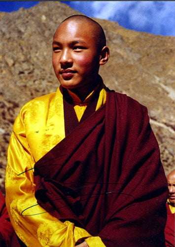 The Four Great Schools of Tibetan Buddhism: A Journey Through Wisdom and Lineage