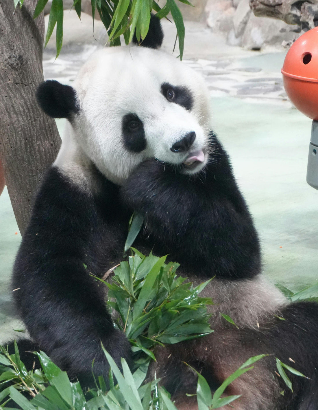 Mindful Chewing: A Meditative Practice Hidden in Plain Sight