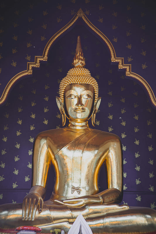 🌿 What is The Continuity of Mind