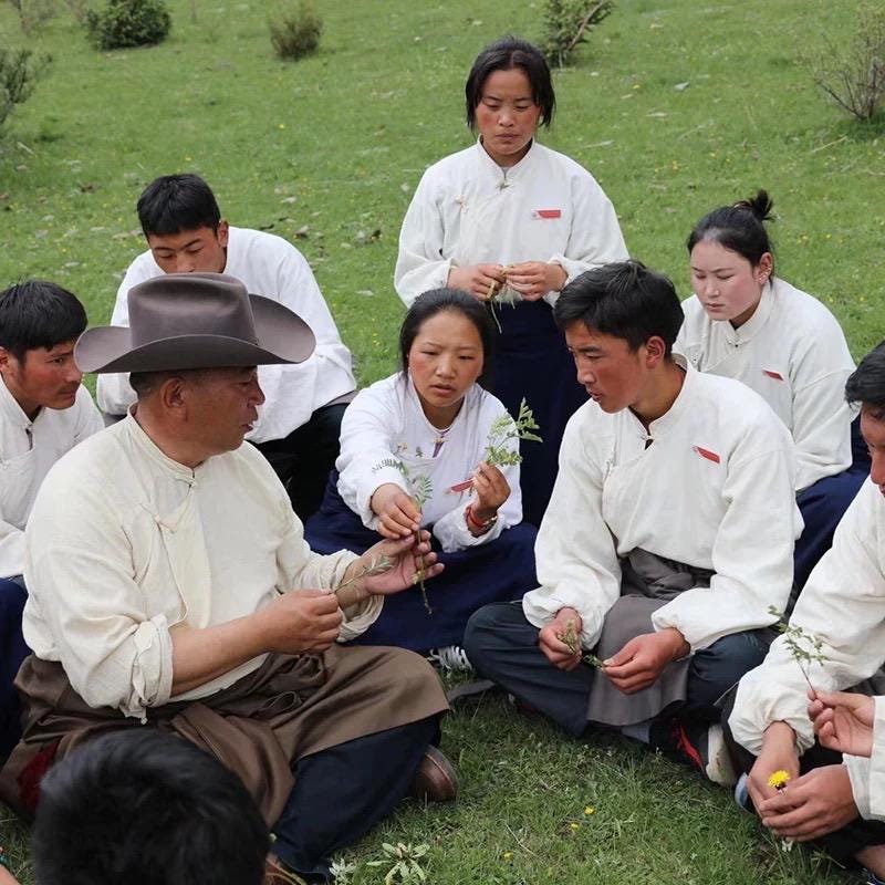 Authentic Dzongsar Tibetan Incense