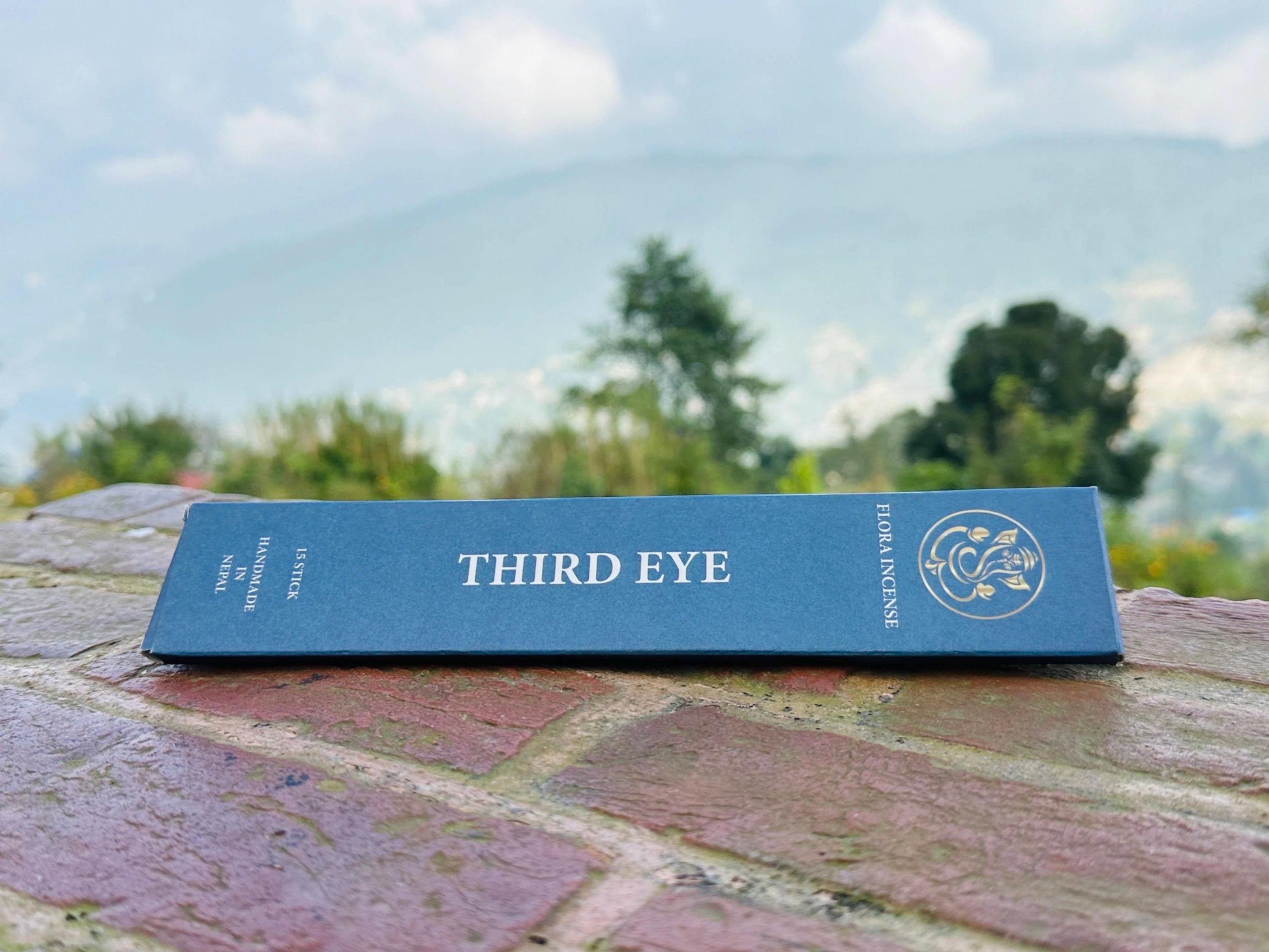 Third Eye Incense Sticks – Handmade in Nepal – 32 Himalayan Herbs – Intuition, Meditation, Focus, Chakra Healing, Natural Tibetan Incense