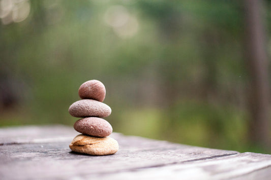 Madhyamaka vs Yogācāra: Understanding Mind and Matter in Tibetan Buddhism