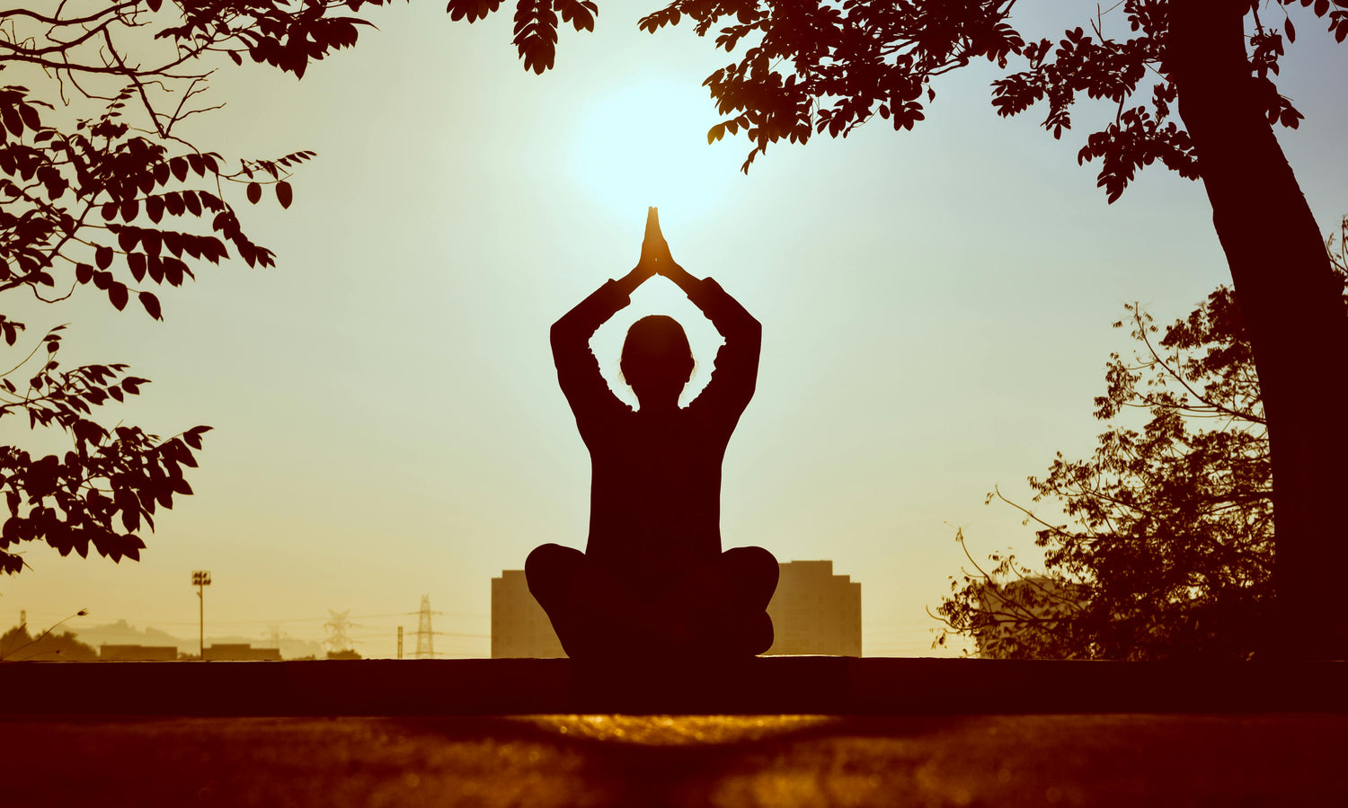 Hearing, Reflection, and Meditation: The Heart of Buddhist Learning