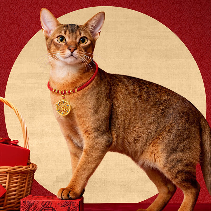 Buddha Stones Red String Bead Compass Gourd Protection Adjustable Cats Dogs Pet Collar