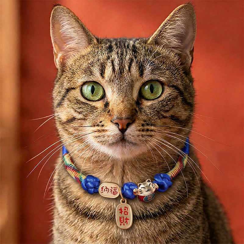 Buddha Stones Red String Plaited Auspicious Fu Character Protection Adjustable Cats Pet Collar