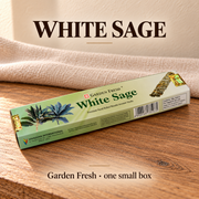 TB628563229168-01 | Garden Fresh White Sage — one small box