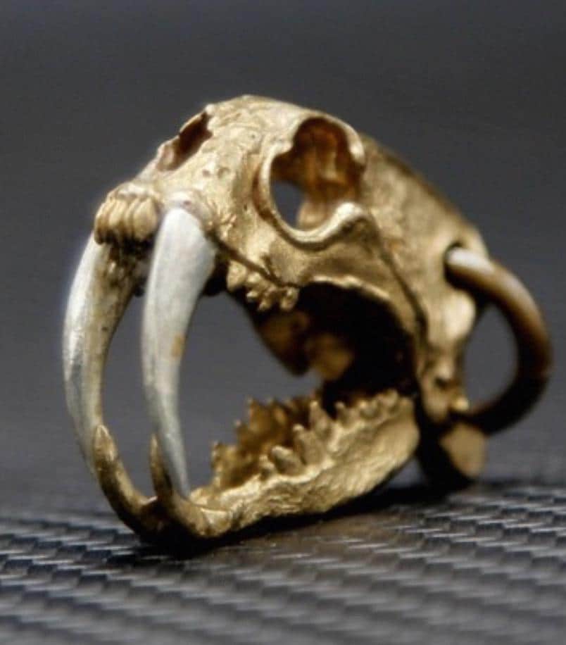 Original Brass Saber-Toothed Tiger Skull Pendant, Handcrafted Keychain with Silver Teeth