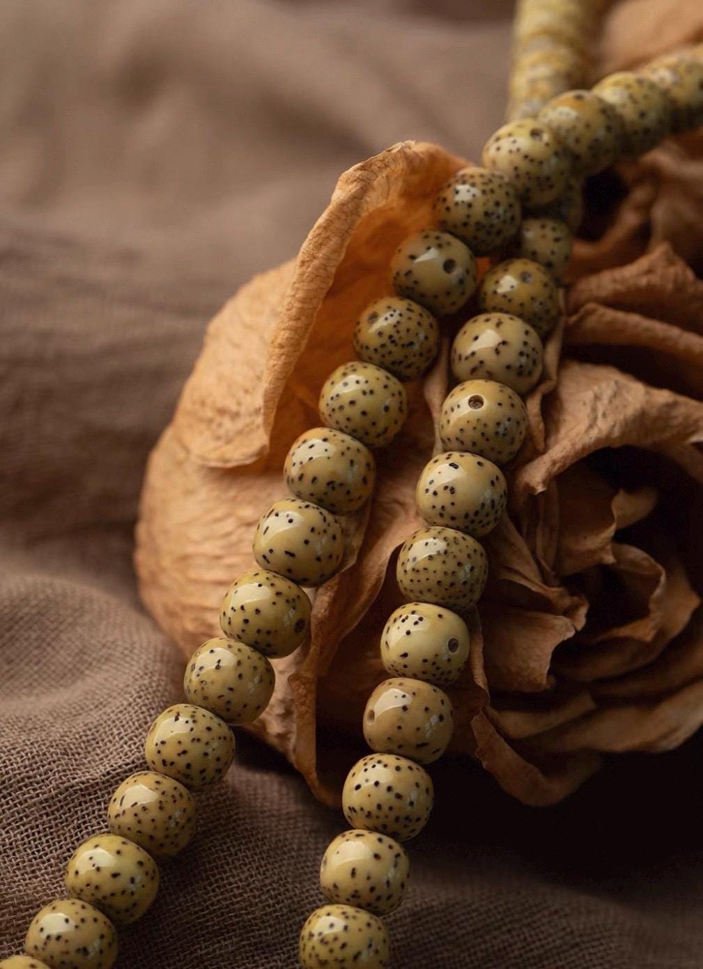 Natural Aged Hainan Star Moon Bodhi Seed 108 Mala Beads, Rare Camel Bone Pendant Buddhist Prayer Rosary, Meditation Necklace Gift