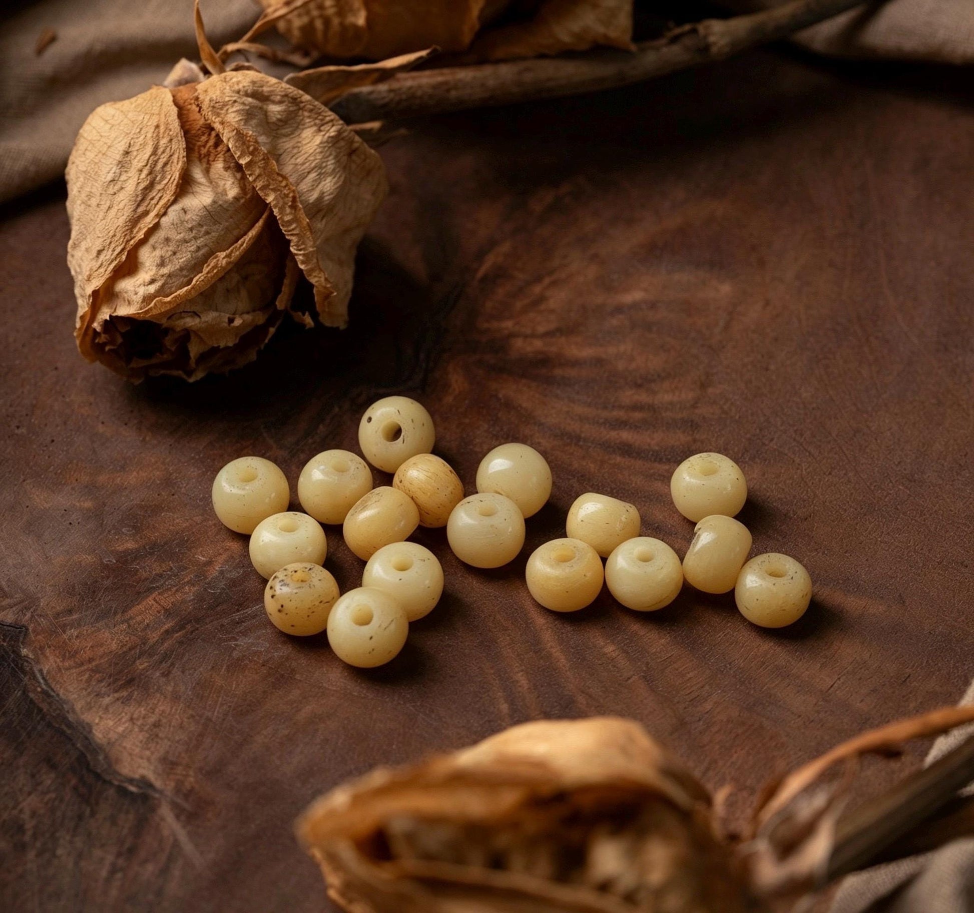 Natural Aged Hainan Star Moon Bodhi Seed 108 Mala Beads, Rare Camel Bone Pendant Buddhist Prayer Rosary, Meditation Necklace Gift