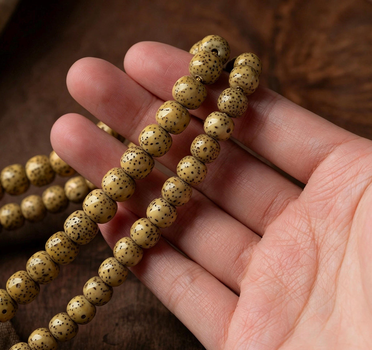 Natural Aged Hainan Star Moon Bodhi Seed 108 Mala Beads, Rare Camel Bone Pendant Buddhist Prayer Rosary, Meditation Necklace Gift