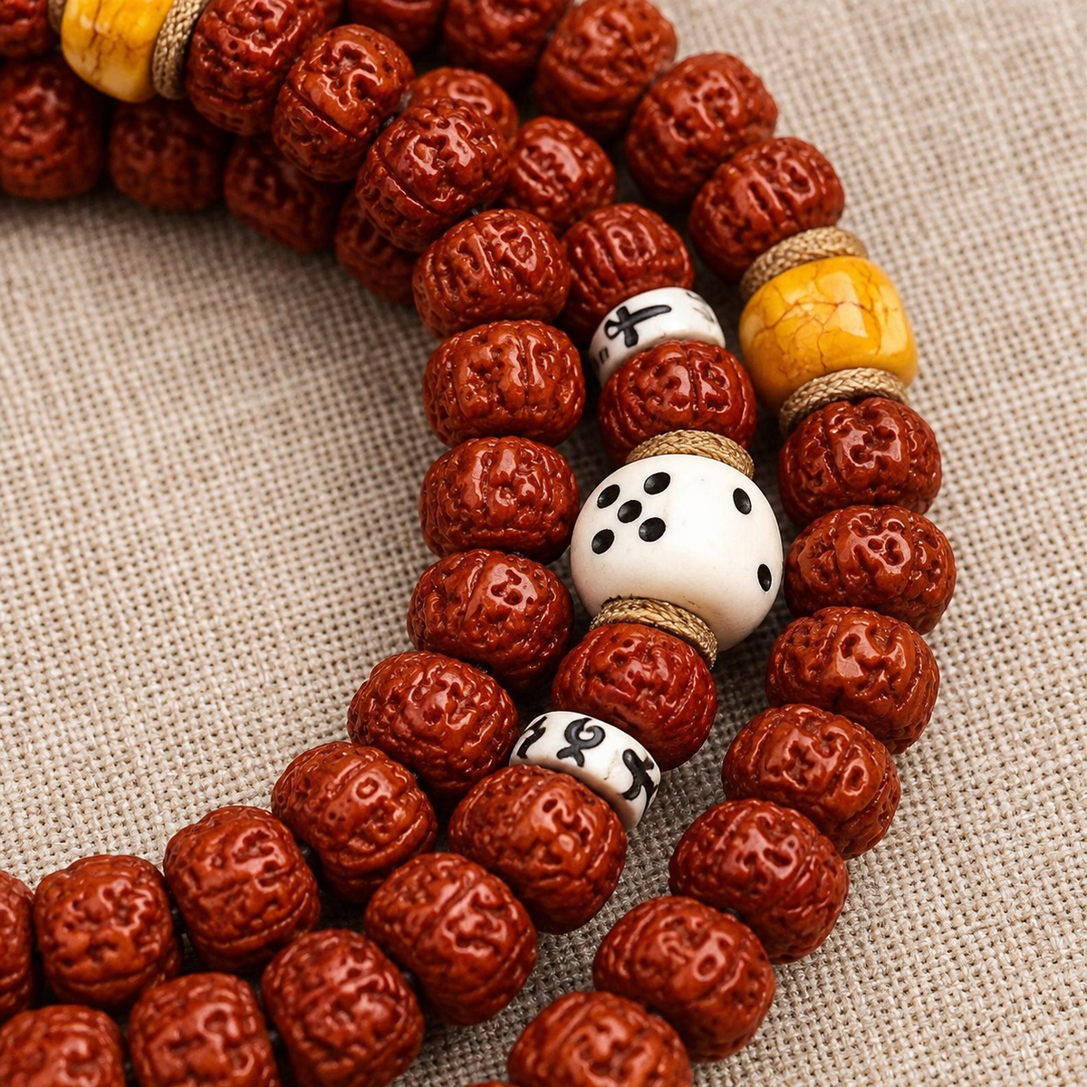 Mala Rudraksha de doble dragón, 108 cuentas