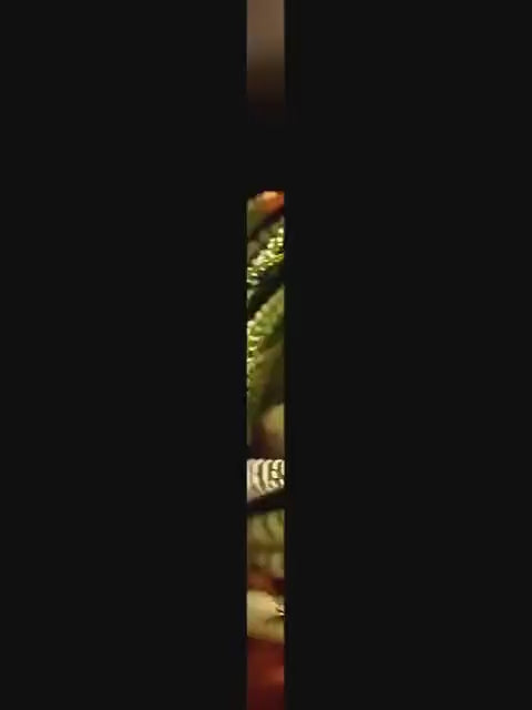 Load video: Deep Sea Viper Fish Bottle Opener Keychain, Unique Stainless Steel Carabiner Hook, Creative EDC Tool for Men, Masculine Gift Idea